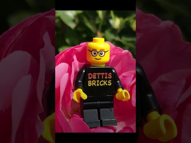 Guten Rutsch #shorts