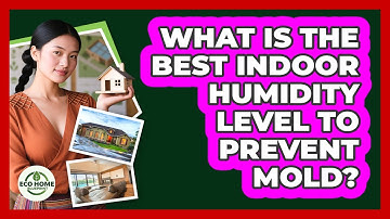 What Is The Best Indoor Humidity Level To Prevent Mold? - Eco Home Blueprint