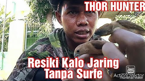 Resiko Jaring  Burung Emprit Tanpa Surfe Dulu