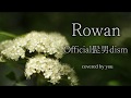 Rowan/Official髭男dism(フル歌詞付き)covered by you