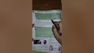 Class-4,Subject-Science,Video-6,Chapter -7,Part -1 by Mrs Sunita Gupta