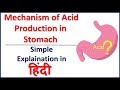 Mechanism of hydrochloric acid Production in stomach (parietal cell) in Hindi | Bhushan Science