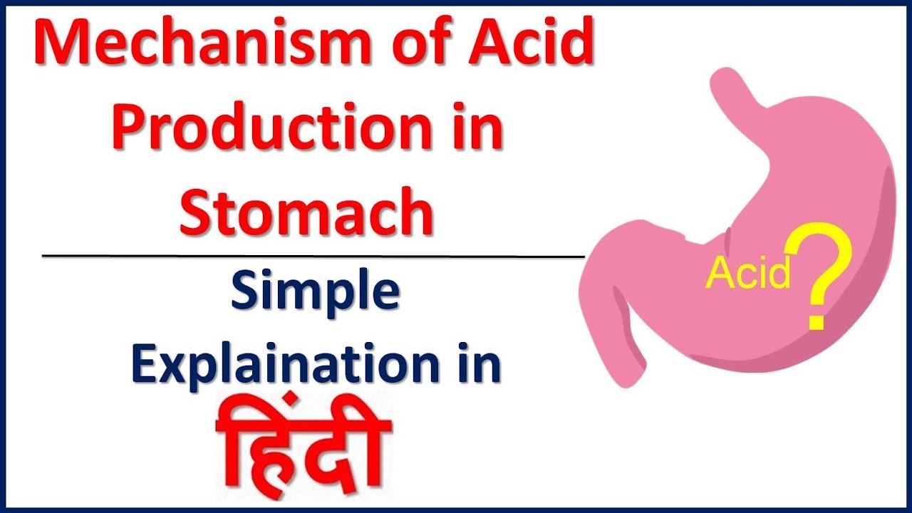 Meaning Of Acid Reflux In Hindi