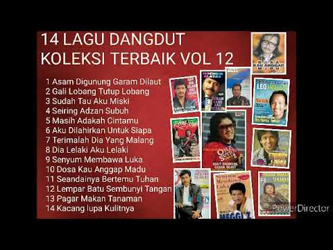 14 LAGU DANGDUT KOLEKSI TERBAIK VOL 12