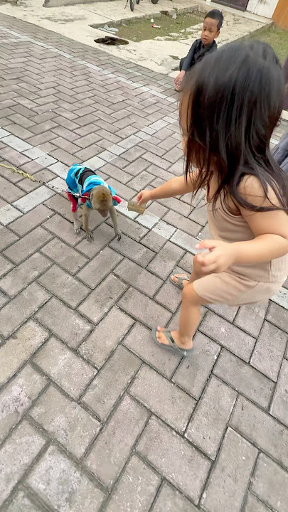 Hana mau ngapain tuh