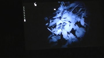 Raspberry pi赤外線カメラによるインターバル撮影(朝顔)