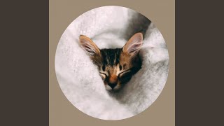 Sumptuous Happy Cat