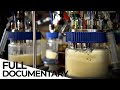 How biotechnology is changing the world  microorganisms  biotech  endevr documentary