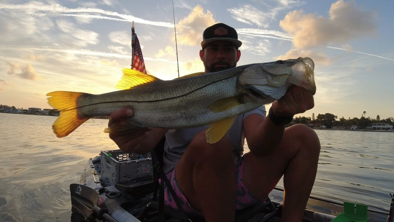 Kayak Fishing at the Dunedin Causeway! HUGE TOPWATER ACTION! 13fishing