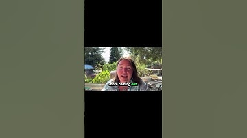 You Have Everything You Need Inside #substack #shorts