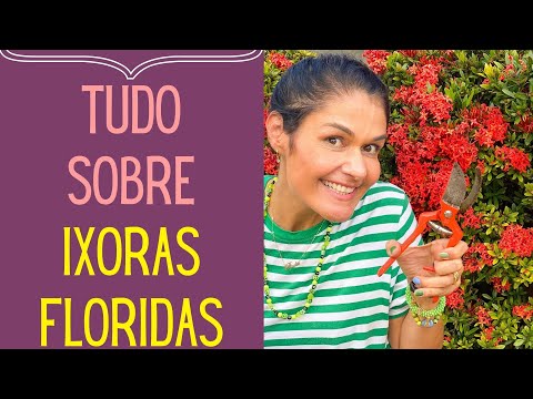 Vídeo: Por que minhas plantas de Ixora não florescem - dicas para incentivar as flores de Ixora