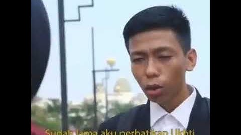 Halalin adek bang