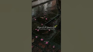 سورة لقمان | ياسر الدوسري #سورة_لقمان #ياسر_الدوسري