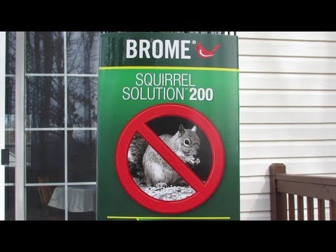 Brome "Squirrel Solution 200" Bird Feeder - Review & Demonstration