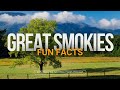 48: Great Smoky Mountains Fun Facts