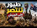 طيور تنتصر ع الجيش ....سبحان الله !!!!!!