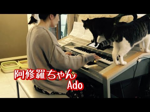 阿修羅ちゃん / Ado