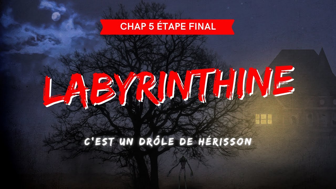 C'est un drôle de hérisson. (Let's play Labyrinthine chapitre 5 étapes finales)