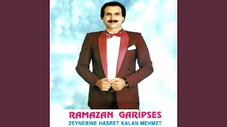 Garip Garip