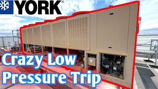 Chiller Down Tripping Low Pressure York Air Cooled Chiller