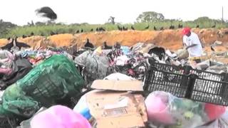 Ayuntamiento de Coatzacoalcos podría aumentar el número de unidades recolectoras de basura.