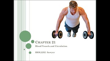 Chapter 21 Lecture Video