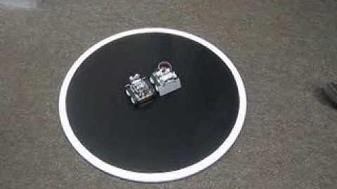 Sumo Robot Test Runs