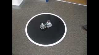 Famous Sumo Robot Test Runs Wealth