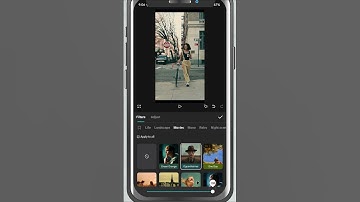 How to Apply Filters in CapCut Mobile - Lesson 08 CapCut Mobile Tutorial #capcut