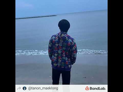 น้อยใจ (ไม่จำเป็นต้องบอก) - ภู วิภู FEAT โต๋ เหน่อ REMIX