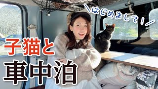 【車中泊女子】保護猫と一緒に車中泊キャンプ｜ちょこっと家電で焼肉パーティー／笠置キャンプ場・京都