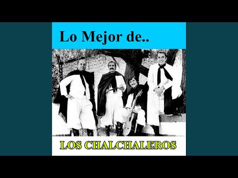 Sapo Cancionero