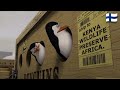 Madagascar Ship To Kenya Finnish 
