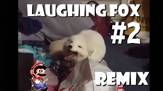 Cute White Fox Laughing - Remix Compilation #2