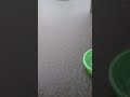 Mvua Za Mwisho Za Zidi Kunyesha Mkoa Wa Shinyanga Wilaya Ya Kahama Familia Moja Imesombwa Na Maji Mvua Za Mwisho Za Zidi Kunyesha Mkoa Wa Shinyanga Wilaya Ya Kahama Familia Moja Imesombwa Na Maji