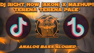 DJ Right Now (Akon) x Mashup!! Terena Terena Pale² - Analog Bangers Slowed 2k24 (DJWELLMARKREMIX)