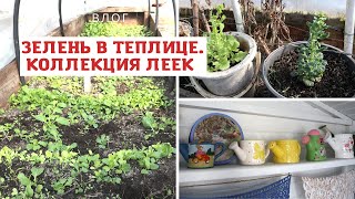 Как начался апрель / Как растет зелень в теплице / Моя коллекция леек / Сдали металлолом