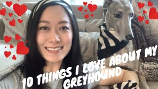 10 THINGS I LOVE ABOUT MY GREYHOUND