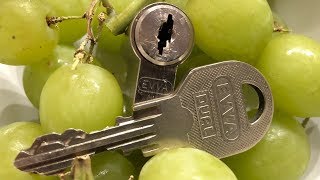 Evva Dual pick and gut