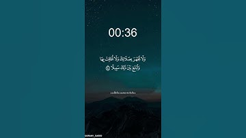 سورة الإسراء || الشيخ |إدريس أبكر