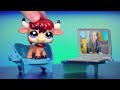Beginning of video