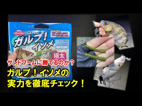 博多湾最強ワーム発掘プロジェクト ガルプ イソメ篇 Youtube