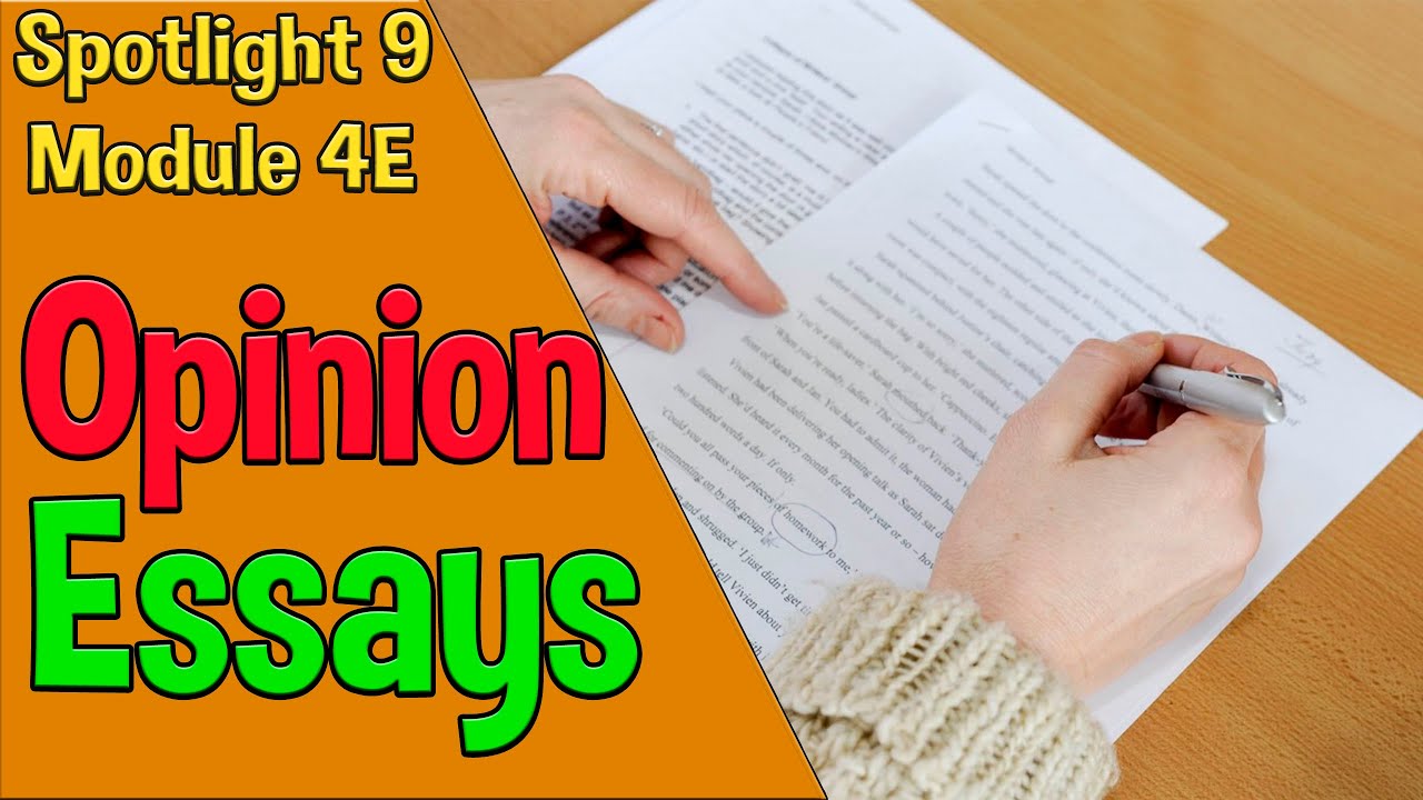 Spotlight 9 module 4 d