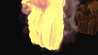 Turbulence FD Test
