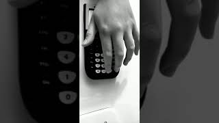 Celebrity Mathematical Modeling with Polynomials(Cubic) Net Worth