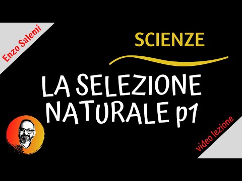 Video: Qual è la selezione naturale più vantaggiosa o la selezione artificiale Perché?