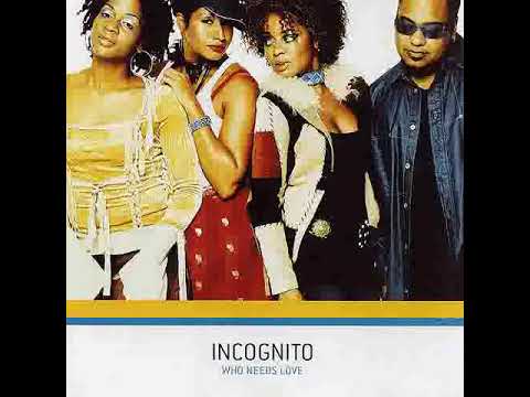 Incognito - Did We Really Ever Try