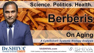 Dr.SHIVA® : Berberis on Aging @CytoSolve® Systems Analysis