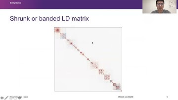How to run SBayesR WCPG 2021