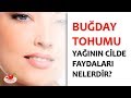 BUĞDAY TOHUMU YAĞININ CİLDE FAYDALARI NELERDİR - YouTube